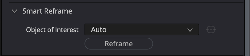 smart reframe
