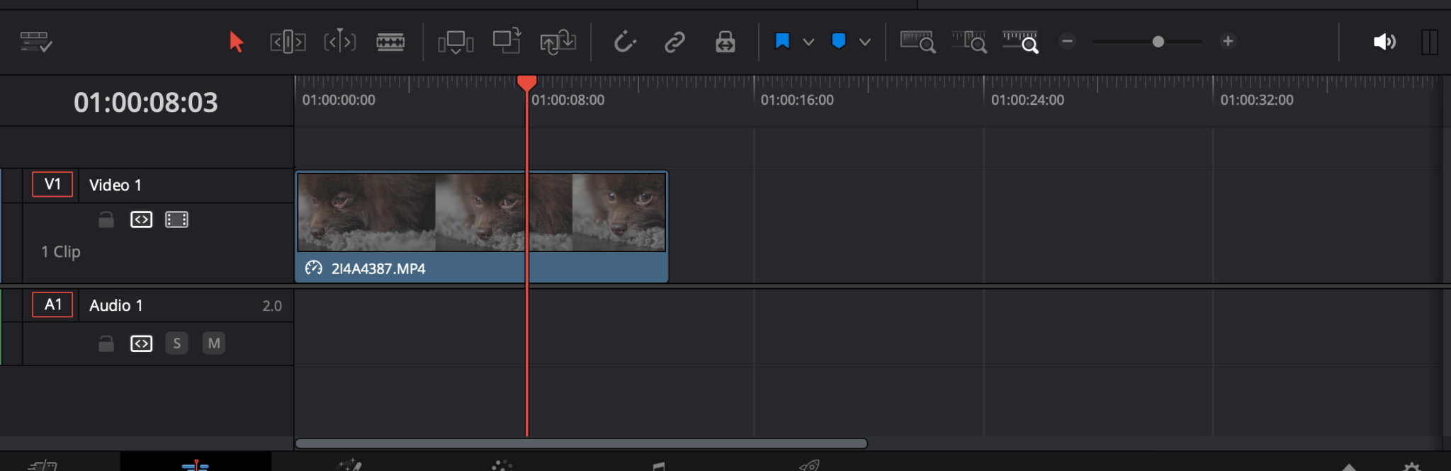 editing timeline