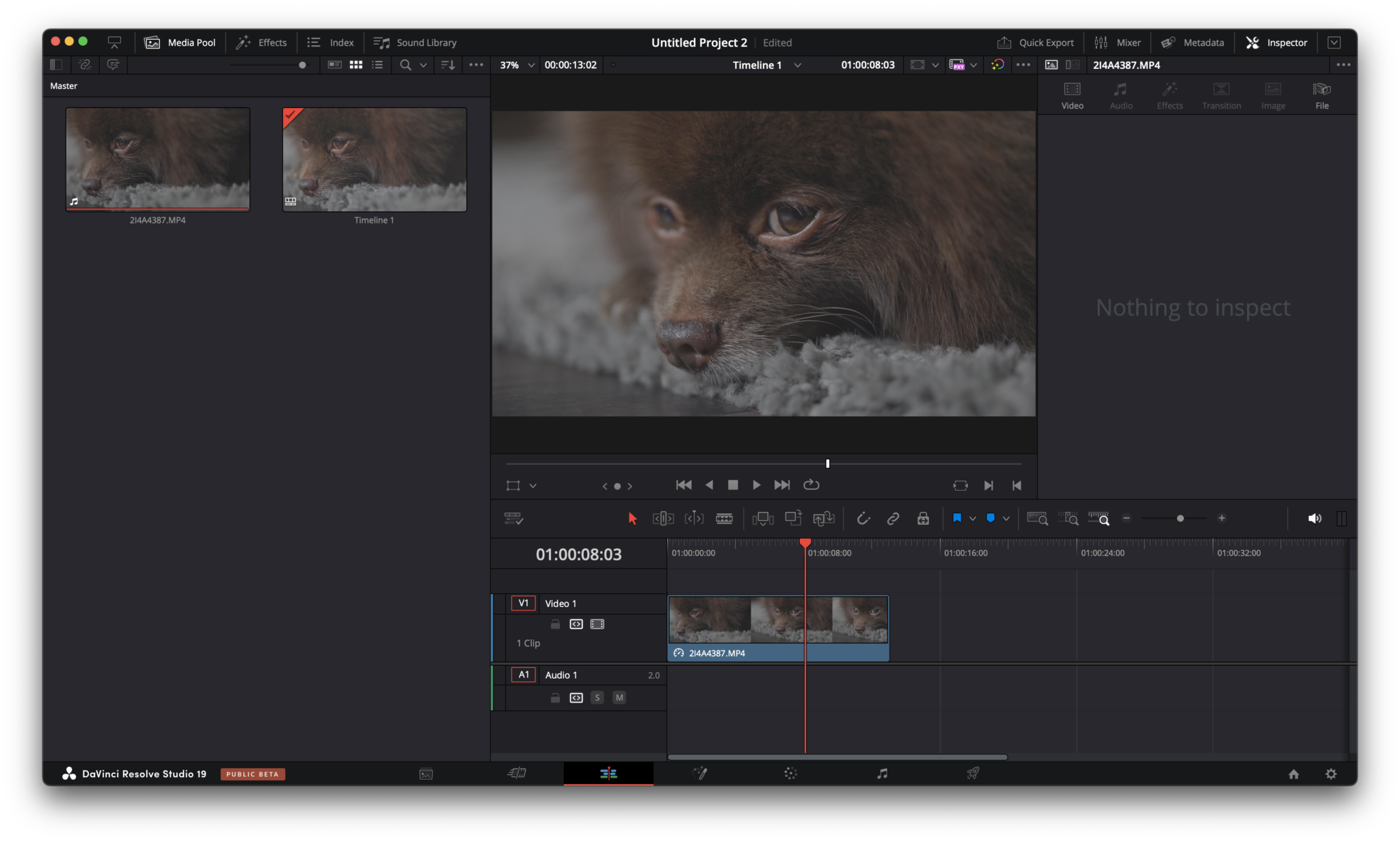 edit view with media in timeline